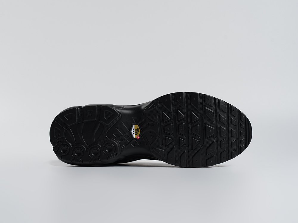 Кроссовки Nike Air Max Plus TN