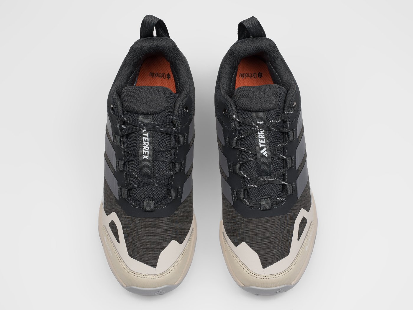 Кроссовки Adidas Terrex Skychaser AX5