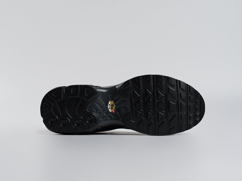 Кроссовки Nike Air Max Plus TN