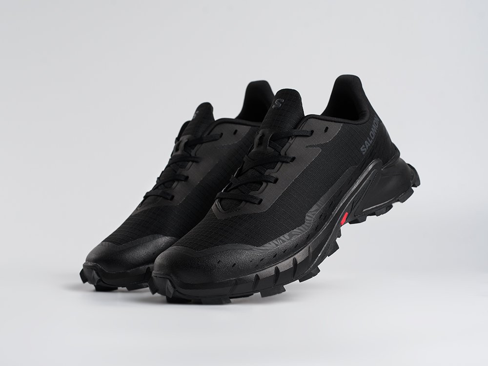 Кроссовки Salomon Alphacross 5 GTX
