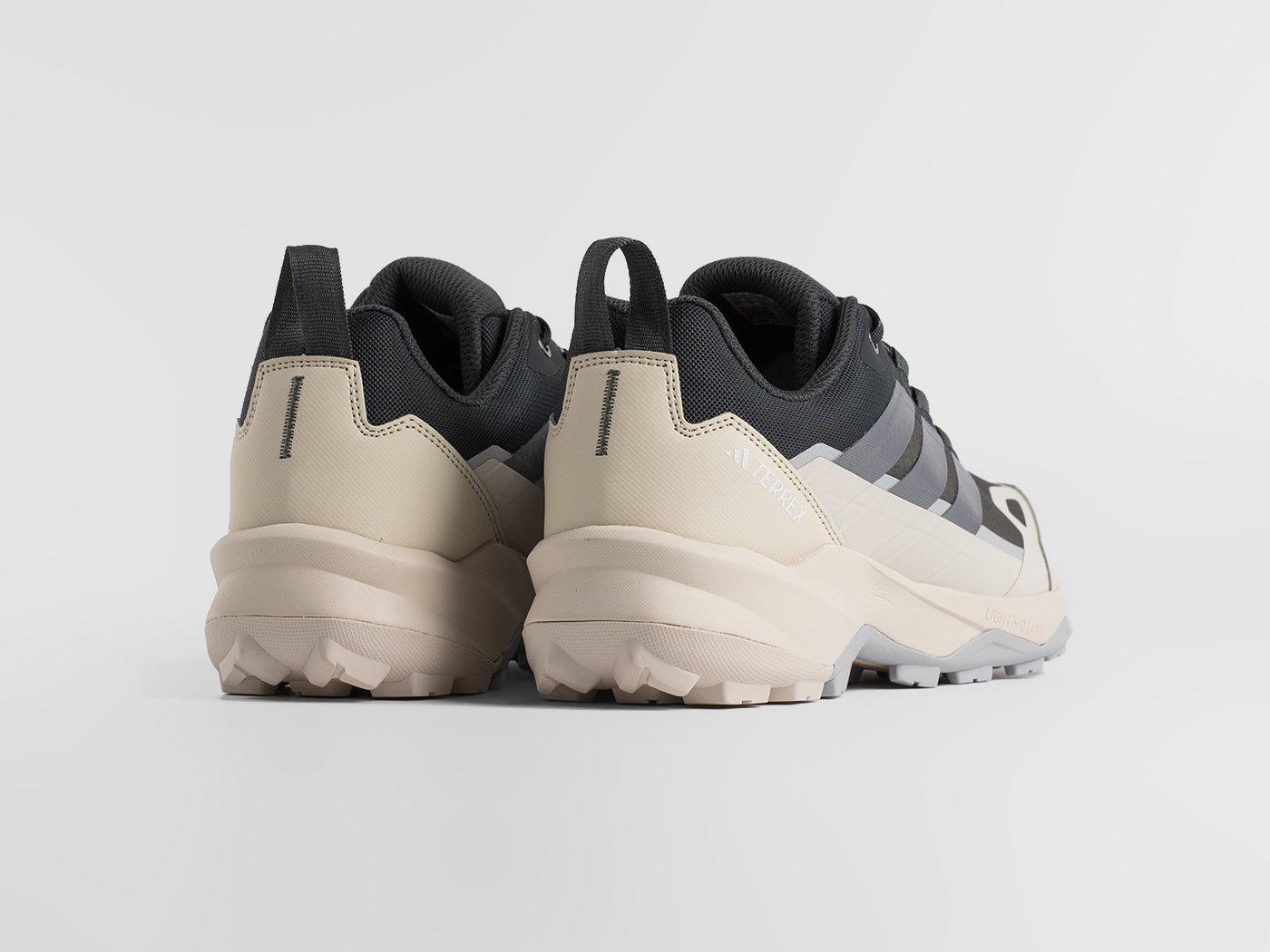 Кроссовки Adidas Terrex Skychaser AX5