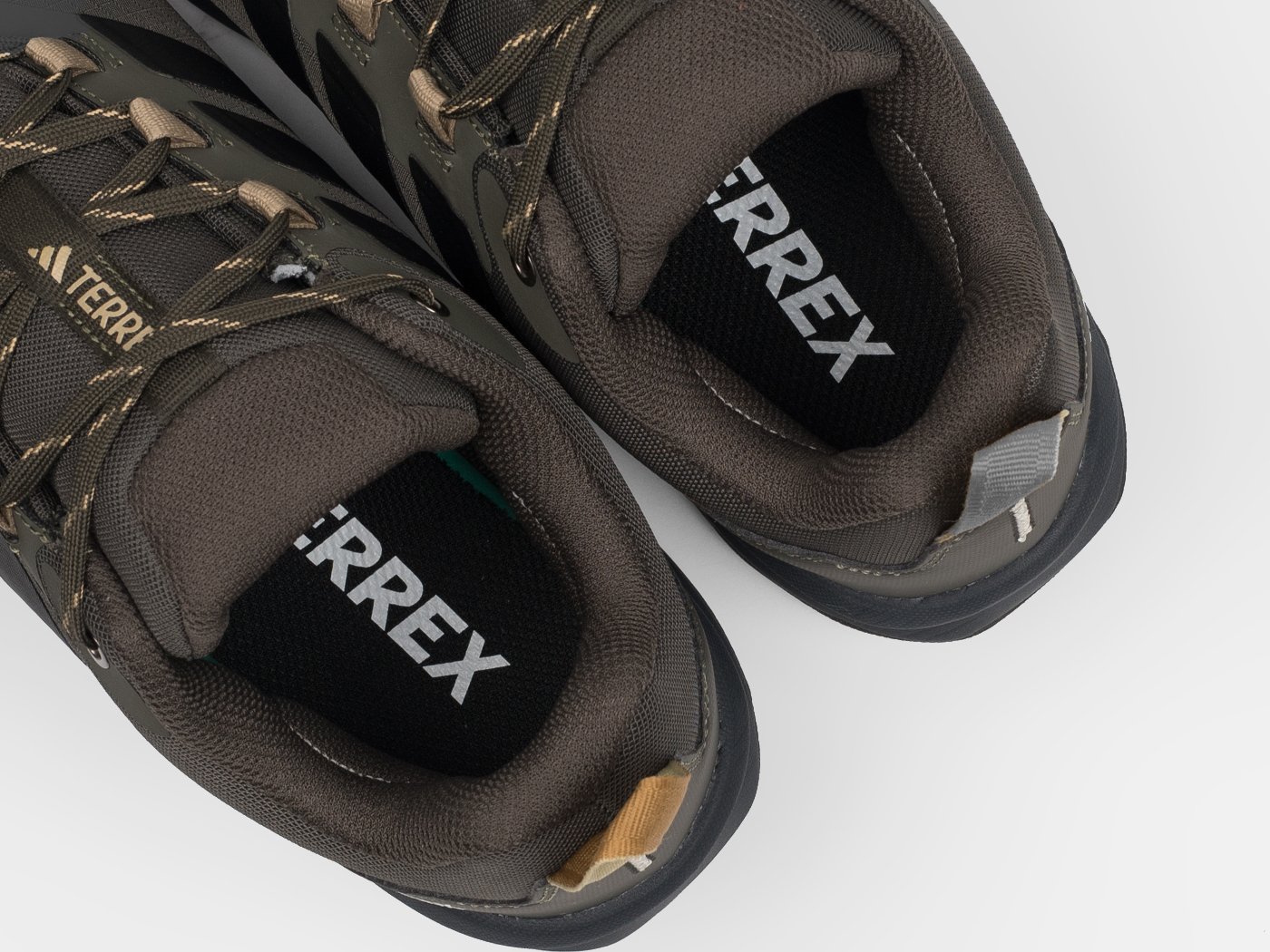 Кроссовки Adidas Terrex Skychaser AX5