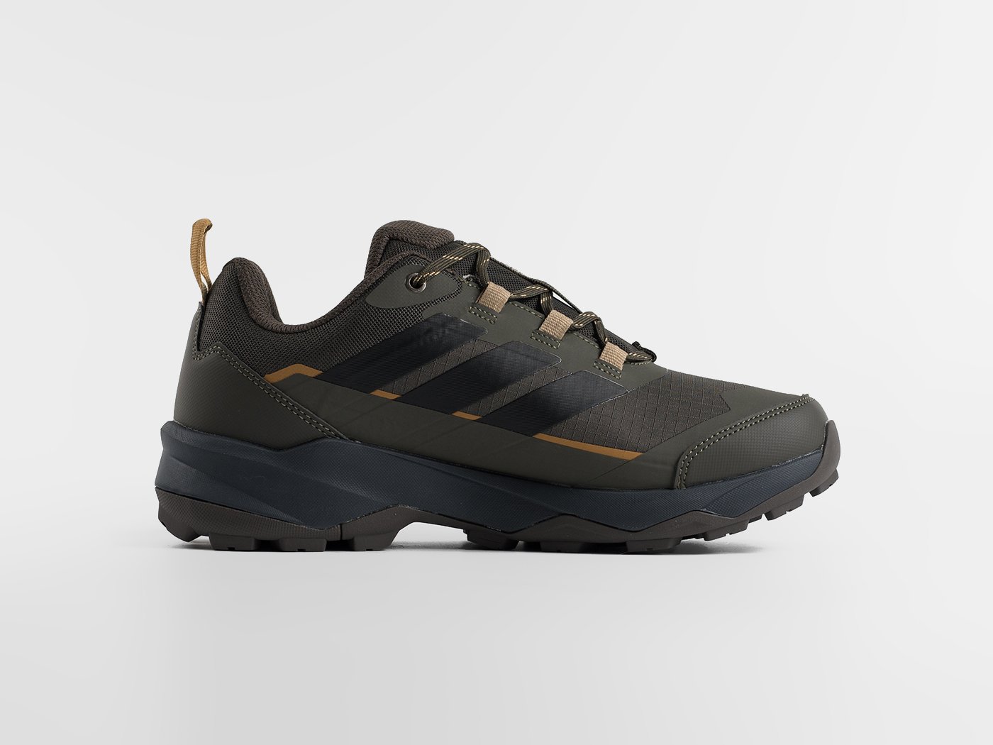 Кроссовки Adidas Terrex Skychaser AX5
