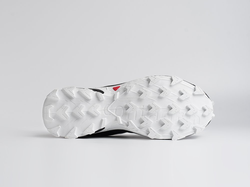 Кроссовки Salomon Alphacross 5 GTX