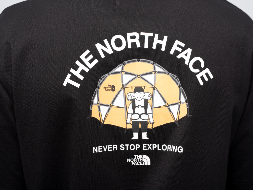 Футболка The North Face