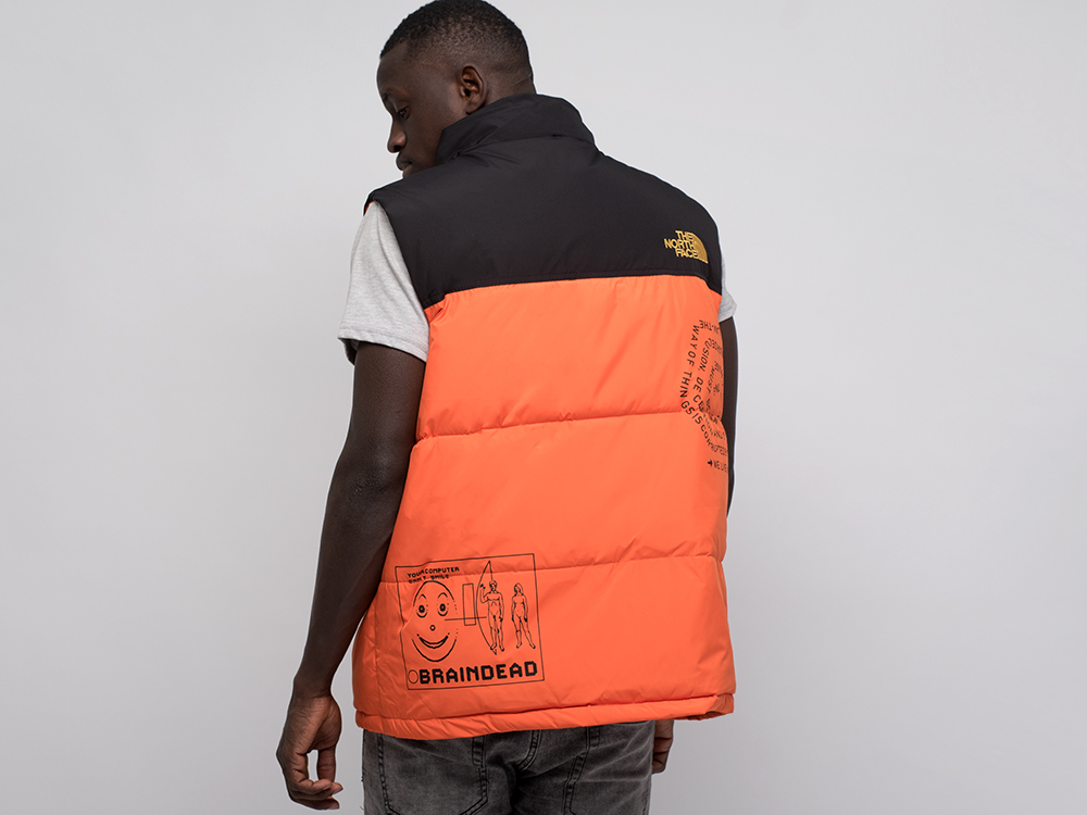Жилет The North Face