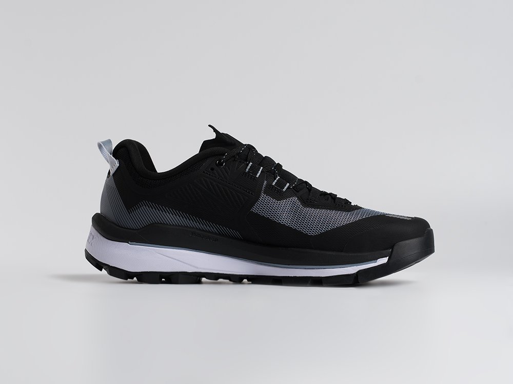 Кроссовки Adidas Terrex Skychaser Tech Low Gtx
