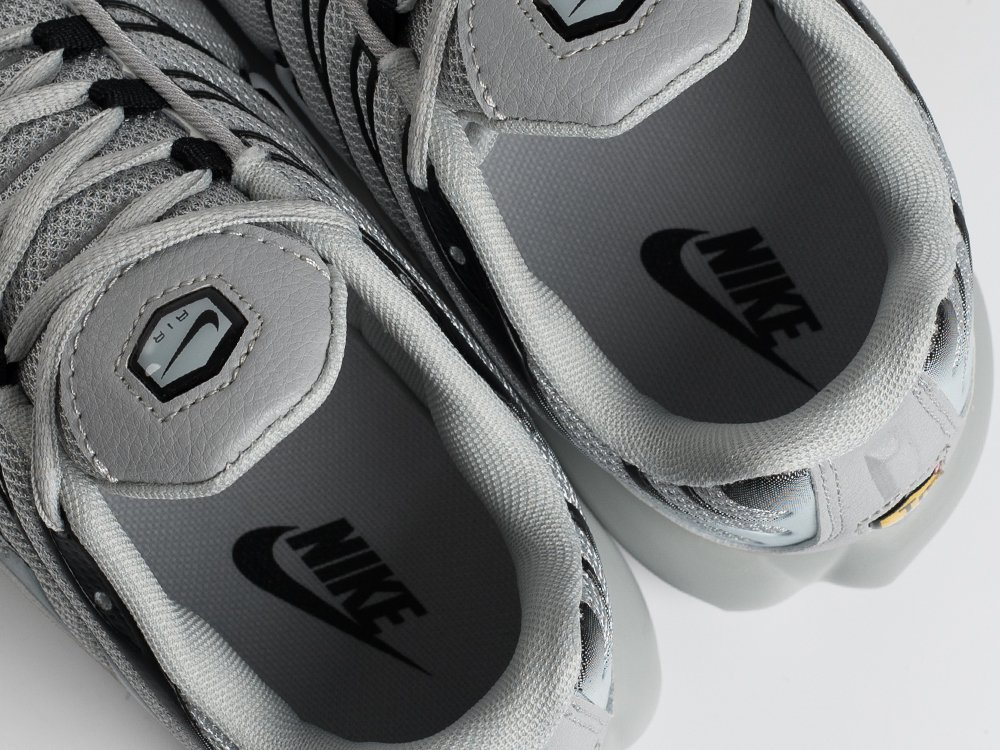 Кроссовки Nike Air Max Plus TN