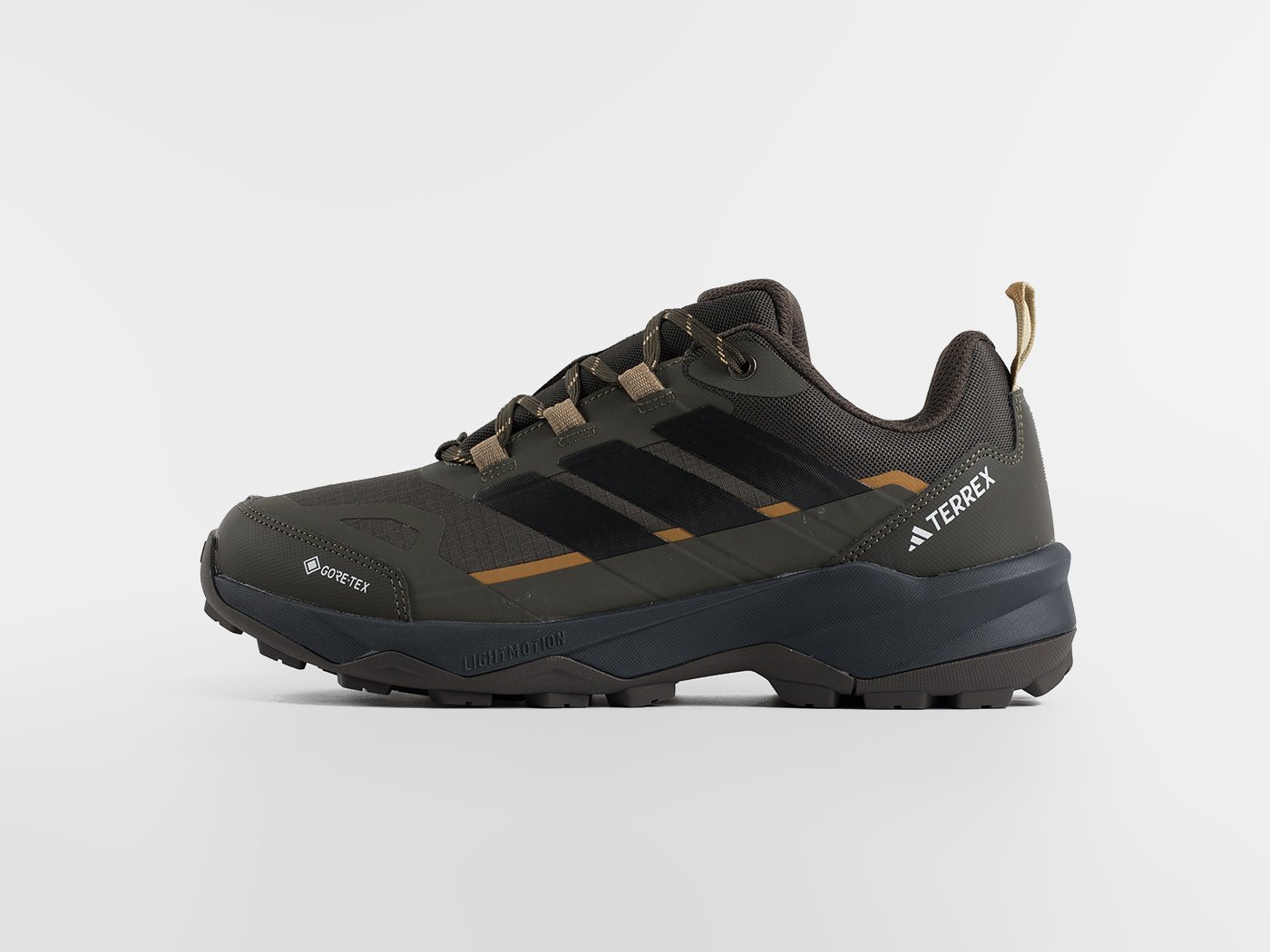 Кроссовки Adidas Terrex Skychaser AX5