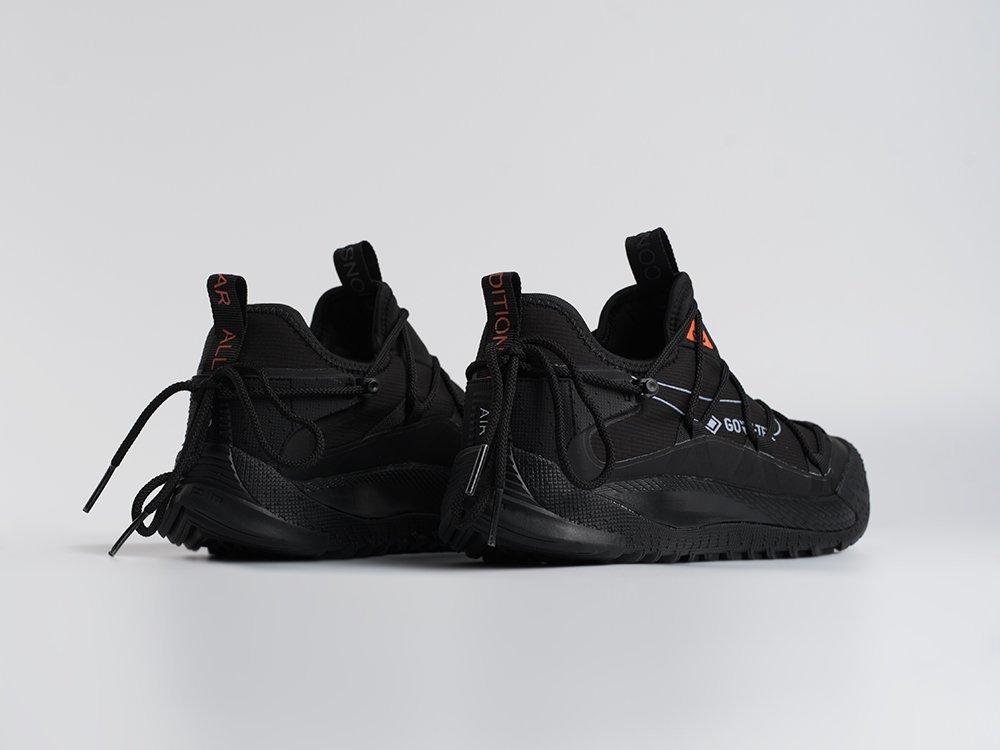 Кроссовки Nike ACG Air Terra Antarktik Low