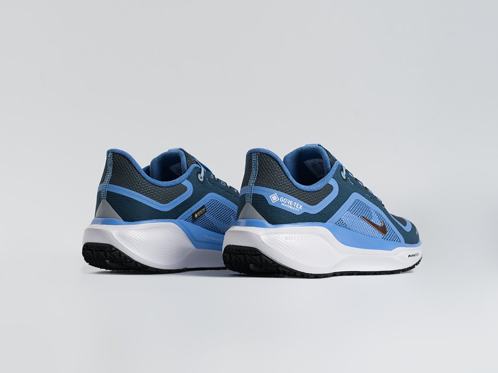 Кроссовки Nike Air Zoom Pegasus 41