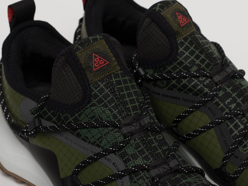 Кроссовки Nike ACG Mountain Fly Low