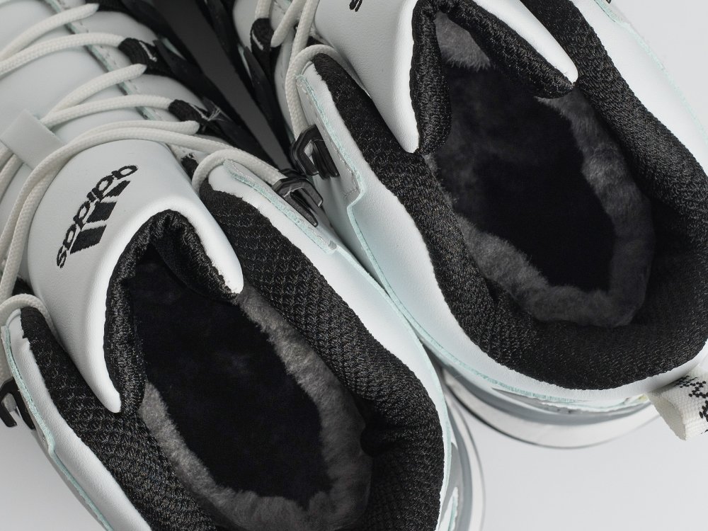 Зимние Ботинки Adidas Terrex Winter