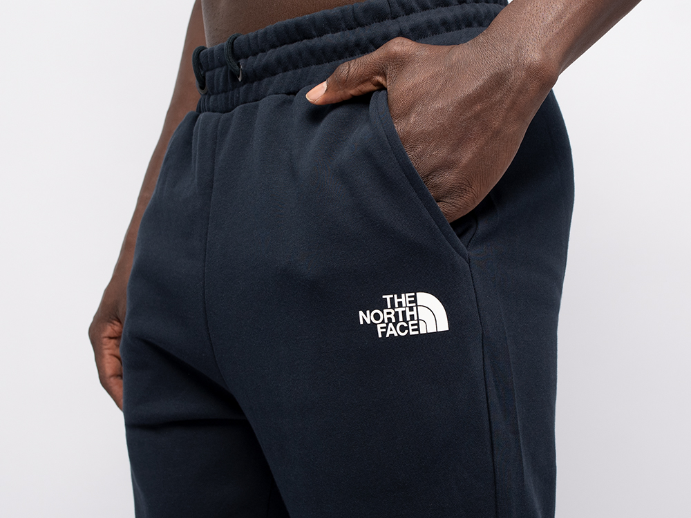 Брюки спортивные The North Face