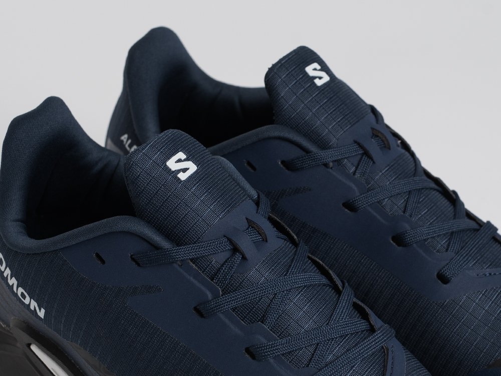 Кроссовки Salomon Alphacross 5 GTX