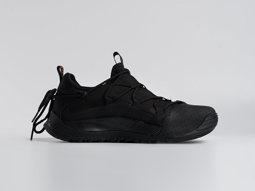 Кроссовки Nike ACG Air Terra Antarktik Low