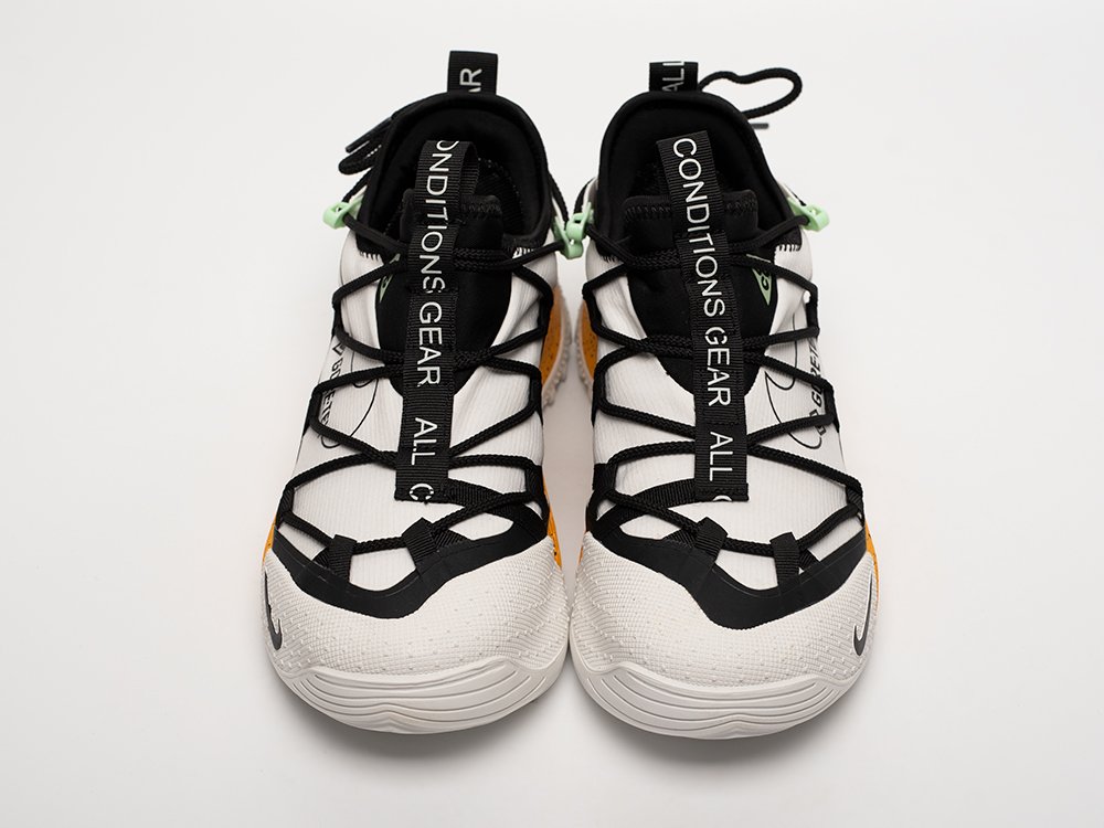 Кроссовки Nike ACG Air Terra Antarktik Low