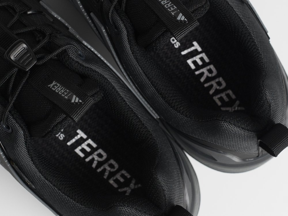 Кроссовки Adidas Terrex Skychaser