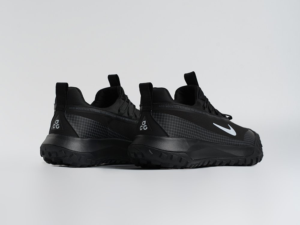 Кроссовки Nike ACG Mountain Fly Low