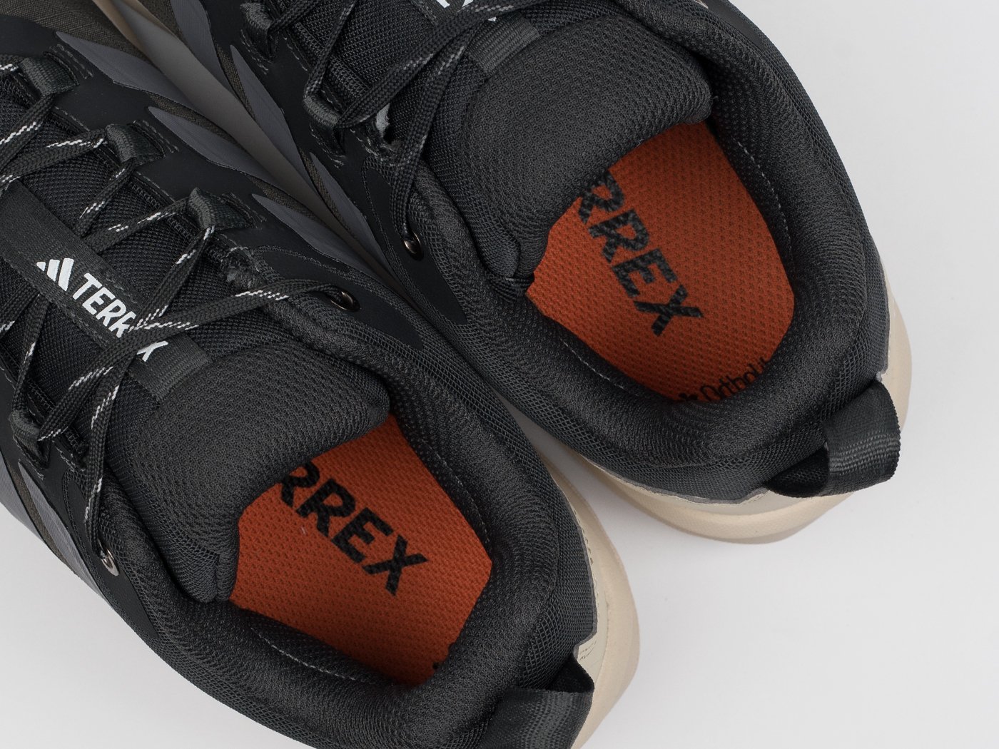 Кроссовки Adidas Terrex Skychaser AX5