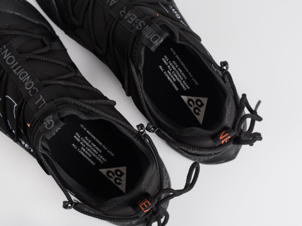 Кроссовки Nike ACG Air Terra Antarktik Low