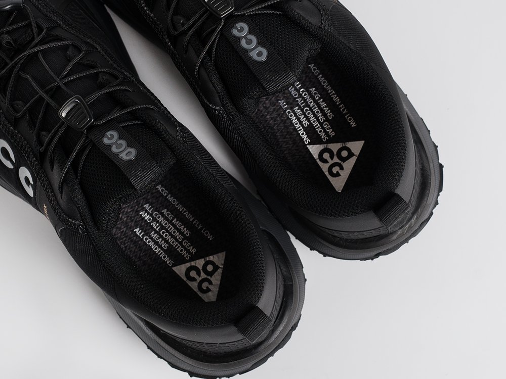Кроссовки Nike ACG Mountain Fly Low