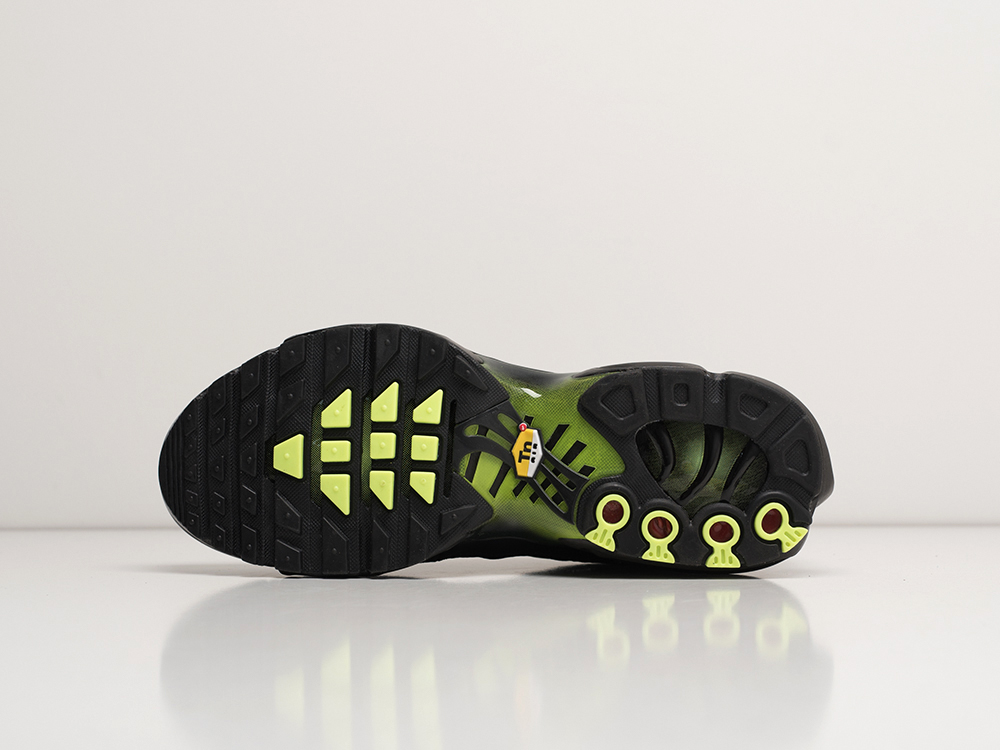 Кроссовки Nike Air Max Plus TN