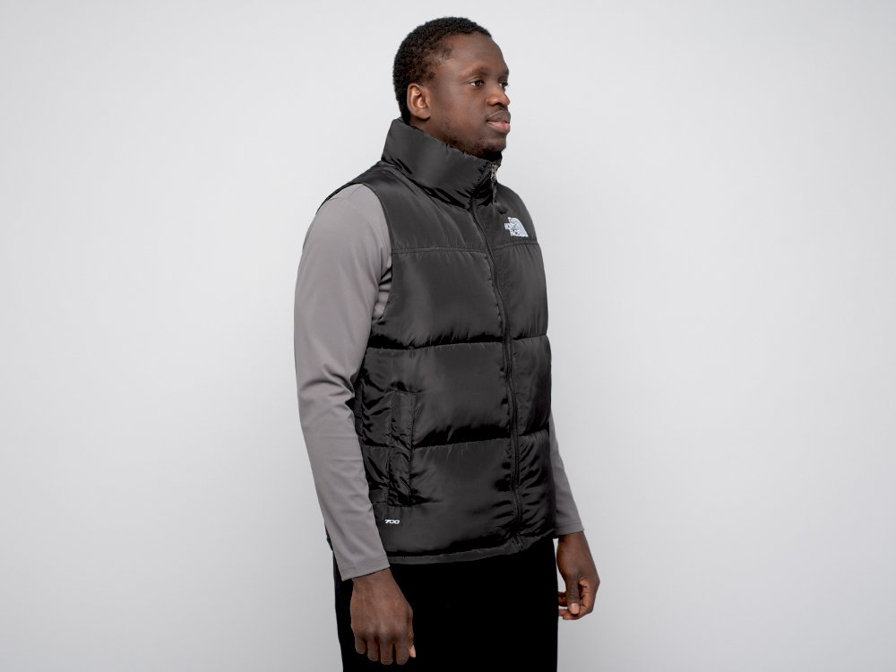 Жилет The North Face