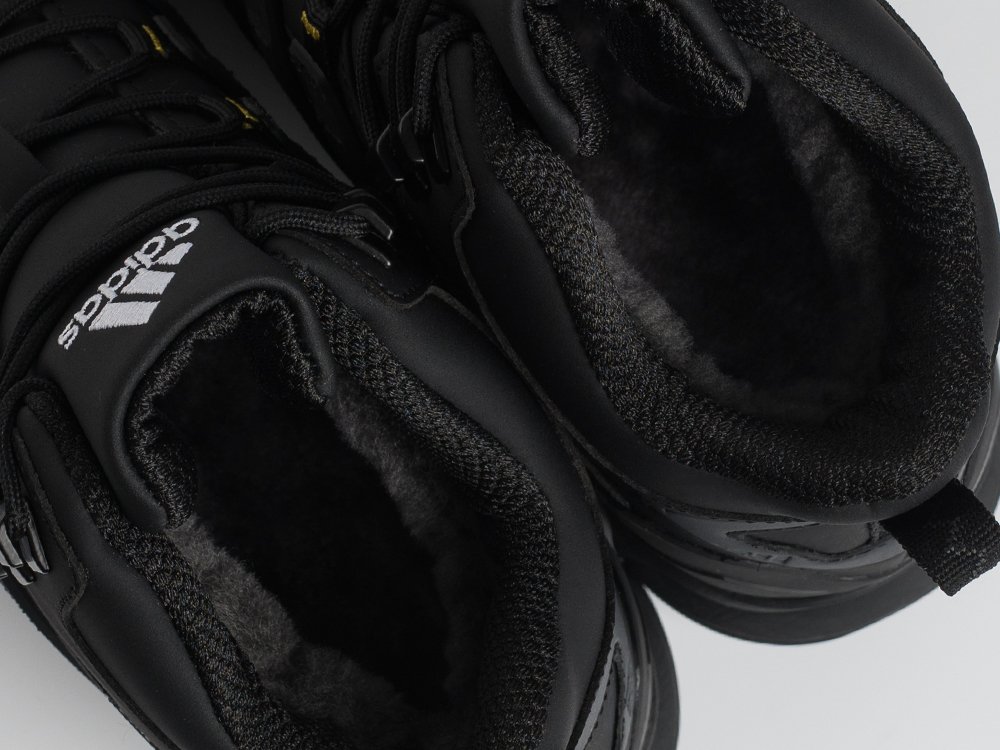 Зимние Ботинки Adidas Terrex Winter