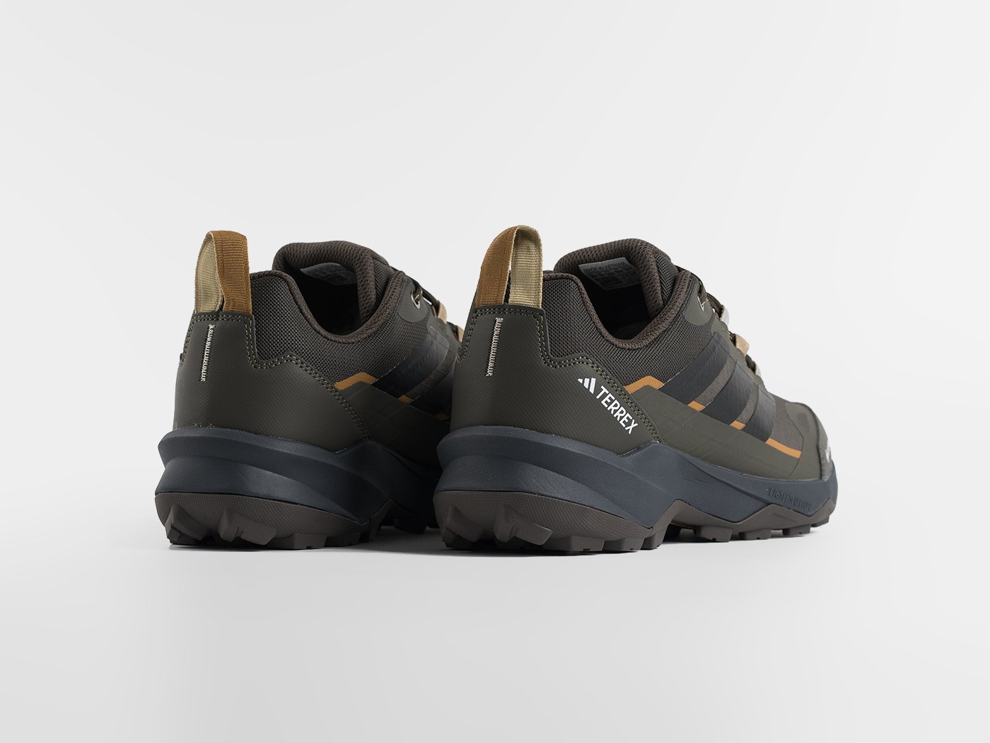 Кроссовки Adidas Terrex Skychaser AX5