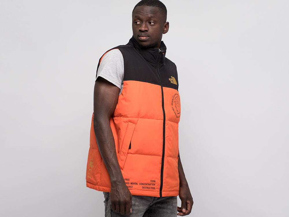 Жилет The North Face