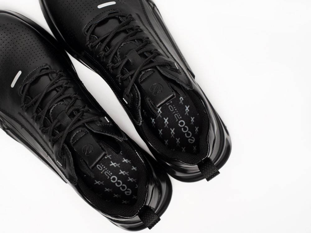 Кроссовки ECCO BIOM 2.1 X MOUNTAIN