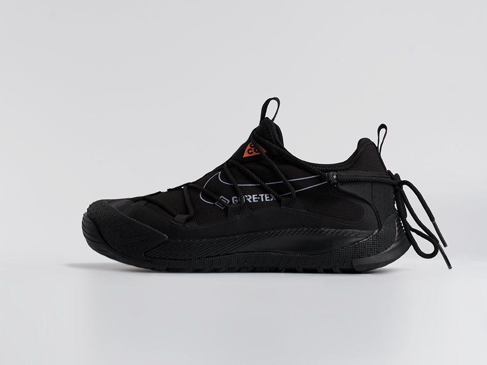 Кроссовки Nike ACG Air Terra Antarktik Low