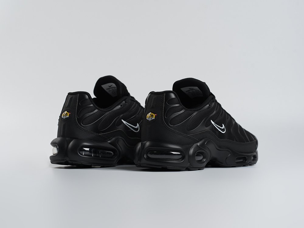 Кроссовки Nike Air Max Plus TN