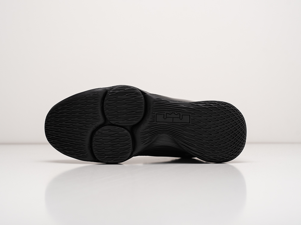 Кроссовки Nike Lebron Witness V