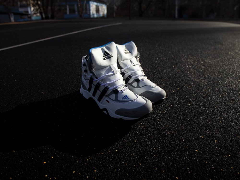 Зимние Ботинки Adidas Terrex Winter